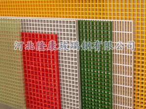 �����ָ�դ