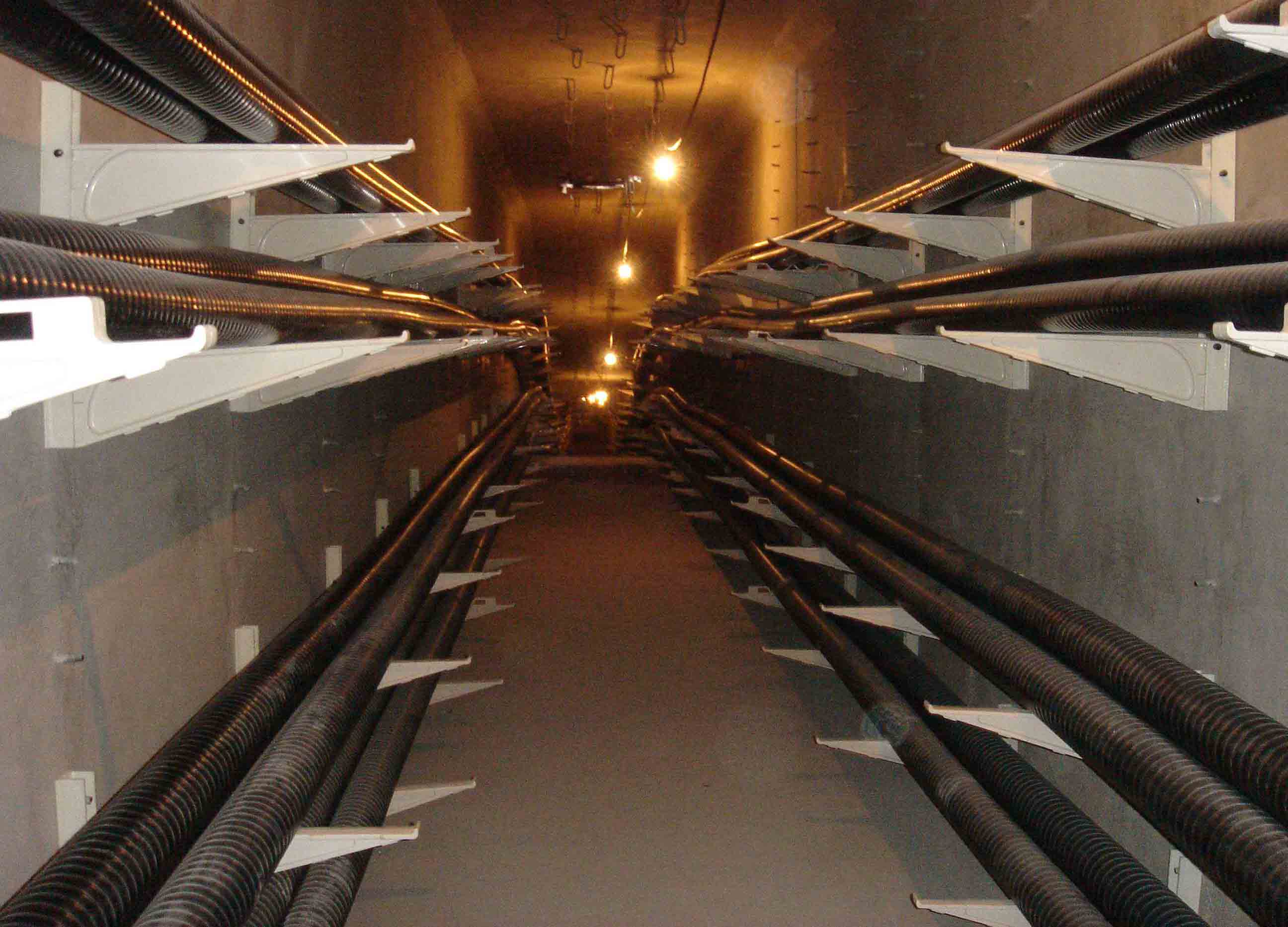 blgdlzj6.jpg blgdlzj6.jpg